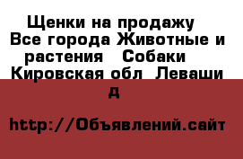 Щенки на продажу - Все города Животные и растения » Собаки   . Кировская обл.,Леваши д.